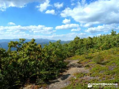 Ocejón - Sierra de Ayllón; hacer senderismo;viajes de una semana;senderismo a tu aire